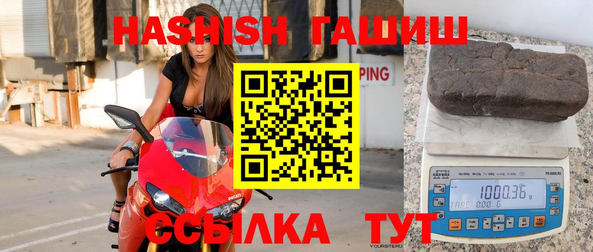 ГАШ Premium Ржев