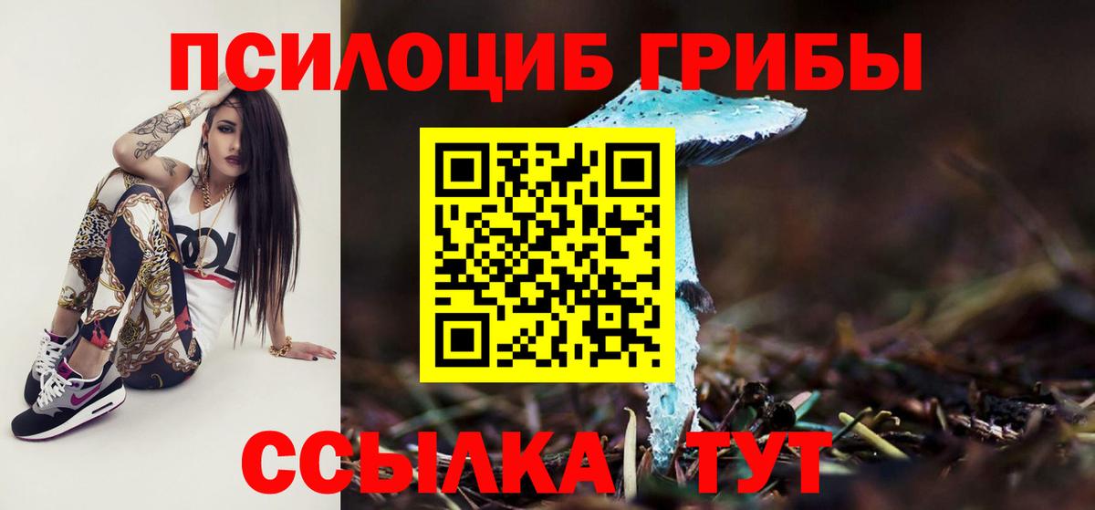 Галлюциногенные грибы прущие грибы  Псилоцибиновые грибы мицелий  Ржев  Вход с VPN 
